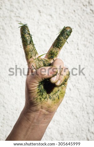 Hand dirty with grass blades makes Victory sign
