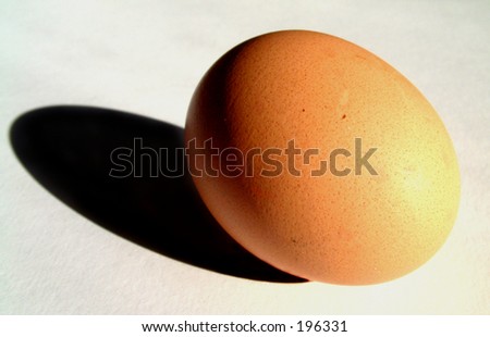 This is an image of an egg.