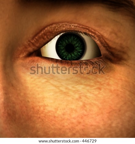 This is a computer generated eye.