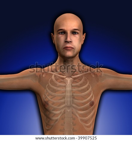X Ray of a mans torso region.