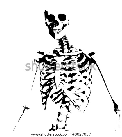 Illustrated Skeleton Stock Photo 48029059 : Shutterstock