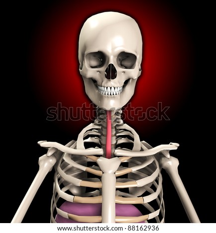 A skeleton with wind pipe