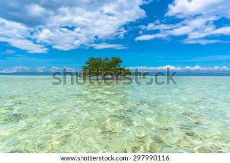 green tree in crystal clear waters in the middle of the sea on a beautiful background