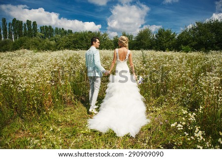Very beautiful bride and groom holding hands in a field where many colors and beautiful nature