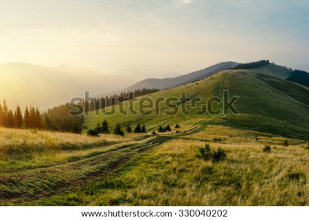 Foggy mountain road goes on top of the hills on sunset landscape. Sunbeams through the trees.