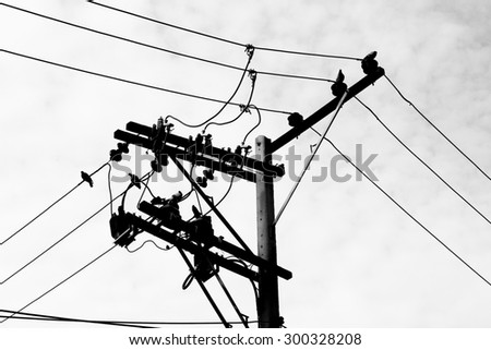 The wires poles.black and white.