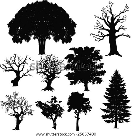 Trees-Vector - 25857400 : Shutterstock