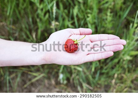 strawberry in hand