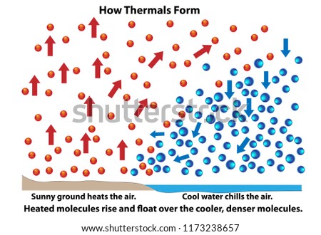 How thermals form. Science diagram showing how molecules react during heating and cooling over land or water.