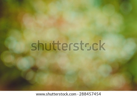 natural defocused blurry white and green background