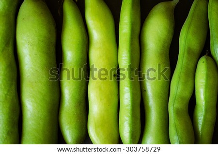 green bean pods in a row on black background texture space for text