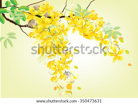 Golden shower flowers or Ratchaphruek ,yellow flowers watercolor look  on white background,set of asean national flower for Thailand