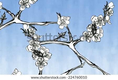 Flowers apricots on a sky-blue background, graphics