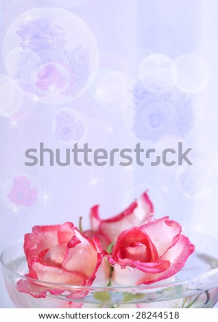 Background with roses in water and in drops. From above balls fly with transparent roses and  sparkle