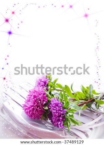 Background with lyings on a womanish bag asters, much place is for inscriptions