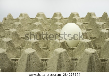 White egg in paper tray