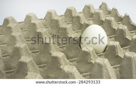 White egg in paper tray