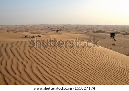 The dunes in the desert, Dubai, United Arab Emirates