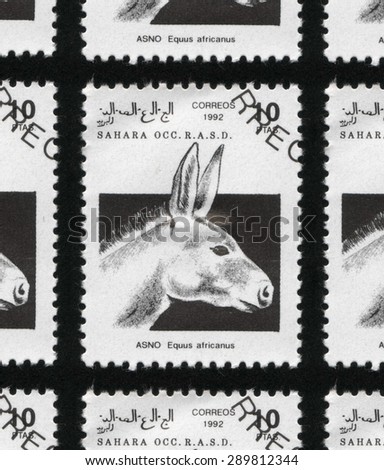 SAHARA - CIRCA 1992: A cinderella stamp printed in the Western Sahara, shows the head of a wild ass, Equus africanus.
