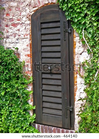 Chocolate colored door in brick wall with vines