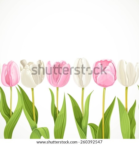 Vector pink and white flowers tulips seamless background