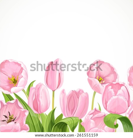 Vector pink flowers tulips seamless background