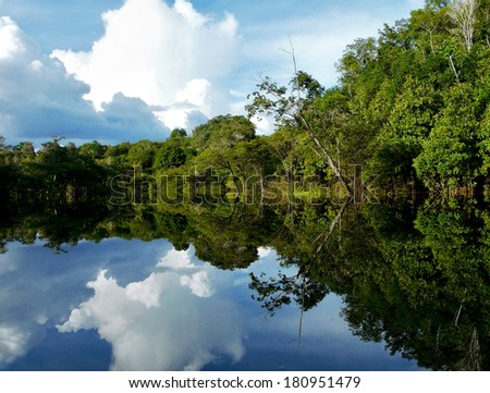 Amazon river reflections, Brazil