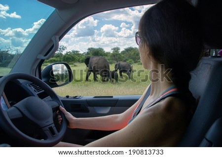 Woman on safari car vacation in South Africa, looking at elephant