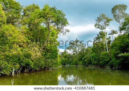 Kinabatangan river, Malaysia, rainforest of Borneo island
