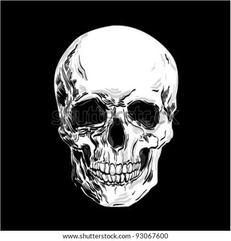 Skull Stock Vector Illustration 93067600 : Shutterstock