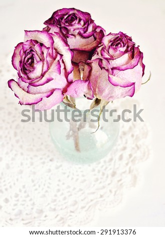 Dry roses and a vintage vase on white background, copy space, selective focus, toned image
