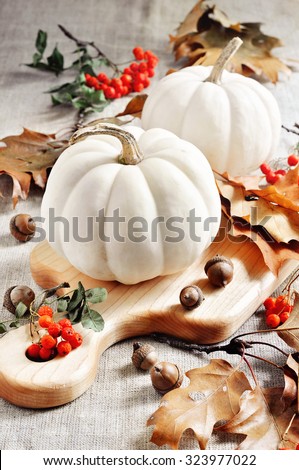Pumpkins or white gourds, autumn, fall decoration for Thanksgiving or Halloween, selective focus