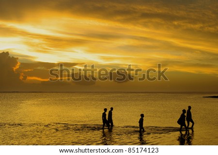 A group of five persons walking in the sea at low tide, heading towards dry land