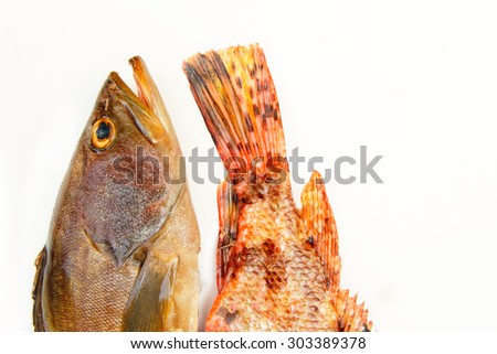 Fresh mediterranean fish, heads of grouper and tail of scorpion fish isolated on white