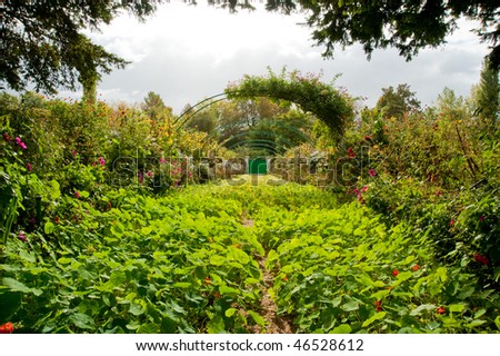 Claude Monet\'s garden in Giverny France