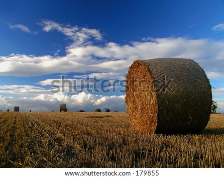 big straw roll (bale) after crop of the grain field with blue cloudy sky