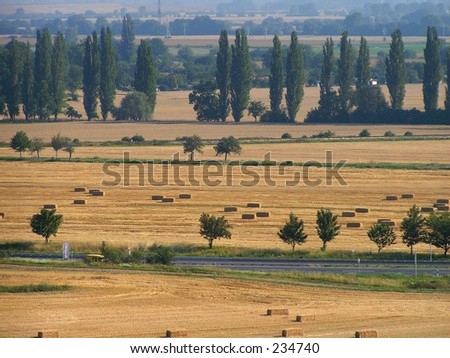 landscape seen from a hill with a road, straw fields and trees
