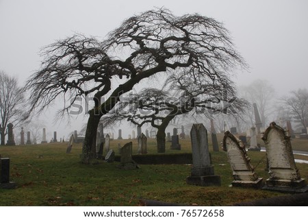 Spooky graveyard scene complete with scary trees and deep fog