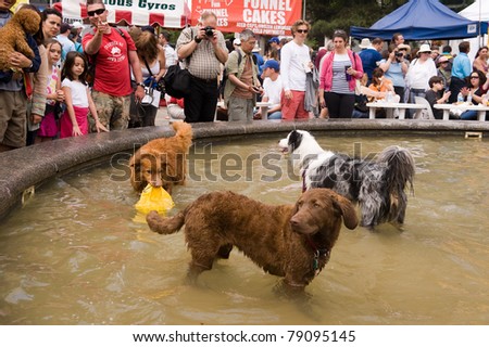 TORONTO, CANADA – JUN 12: Dog lovers watch dogs frolic in a fountain at Woofstock, the largest outdoor festival for dogs in North America since 2003, June 12, 2011 in Toronto, Ontario.