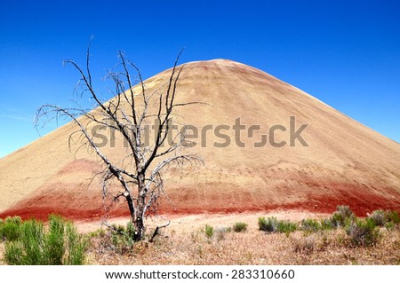 The painted hills with dead tree.  The Painted Hills, part of the John Day Fossil Beds National Monument in eastern Oregon.
