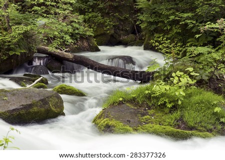 Japanese Forest River