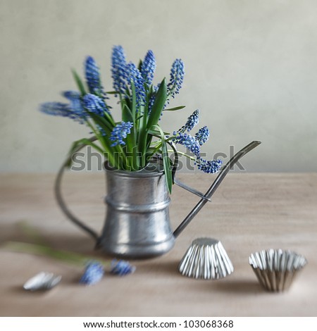 Still life with grape hyacinths arranged in an antique watering can with old moulds on a rustic wooden kitchen table