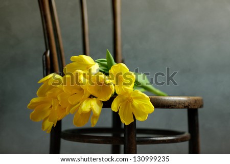 Beautiful bright yellow tulips in Still Life on antique wooden Chair