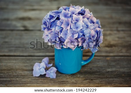 Still Life with blue  pastel colored Hortensia Flowers in Tin Can