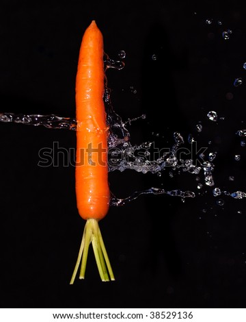 Carrot with water splash isolated on black