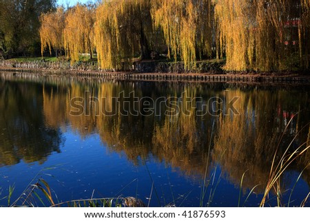 Small Lake with Trees in Autumn, with reflections in the water