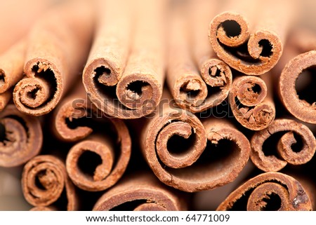 Cinnamon spice Sticks on wooden board close up