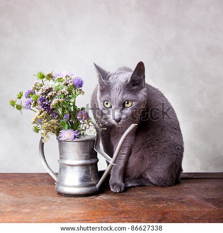 Cat with Flowers in old decorative watering can