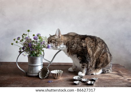 Cat with Flowers in old decorative watering can