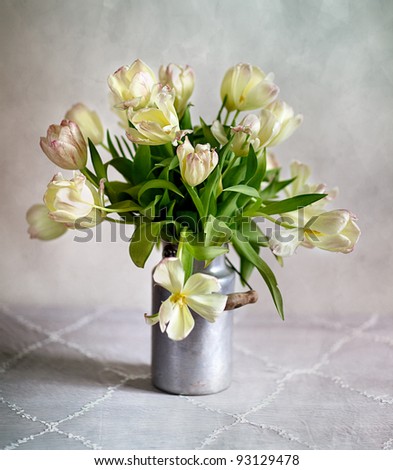 Still Life with pastel Tulips in on Milkcan
